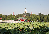 Beihai Park in Summer